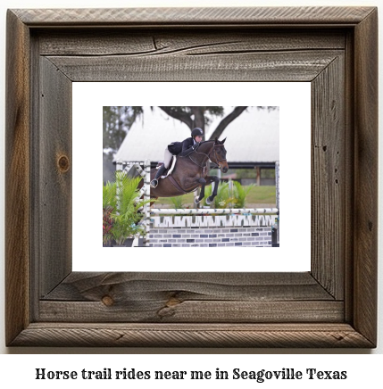 horse trail rides near me in Seagoville, Texas